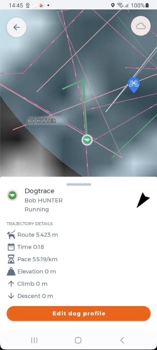 La scheda del cane con lo stato e i dettagli della traccia.