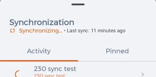 Il pannello di sincronizzazione con l'avanzamento del download e l'ora dell'ultima esecuzione.