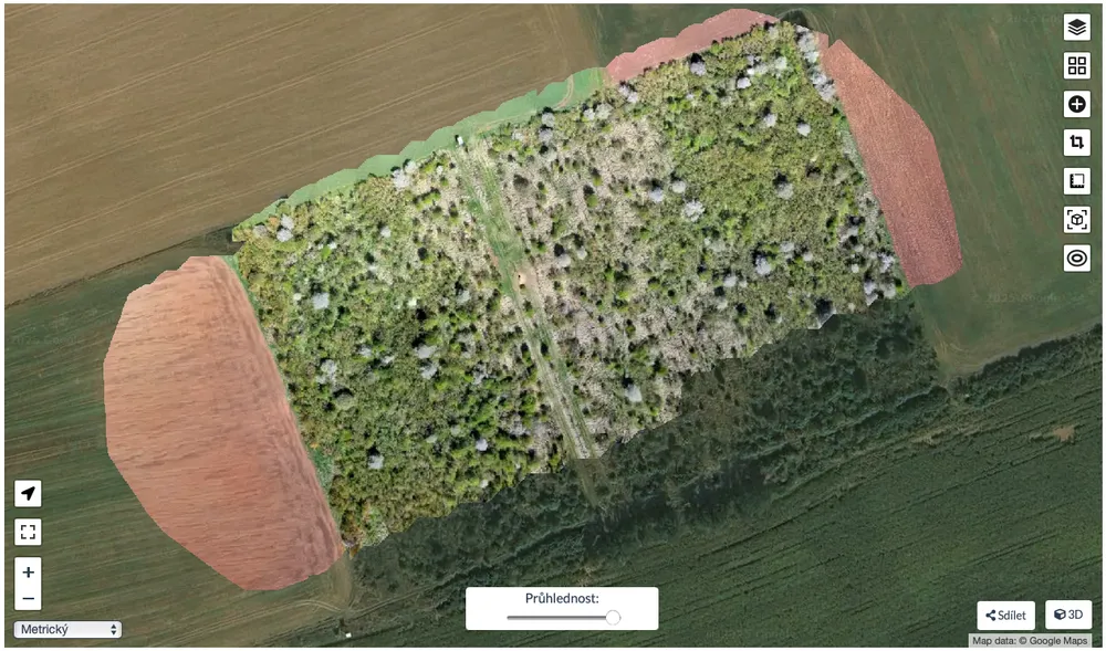 Ortofoto da drone sovrapposta alla mappa satellitare