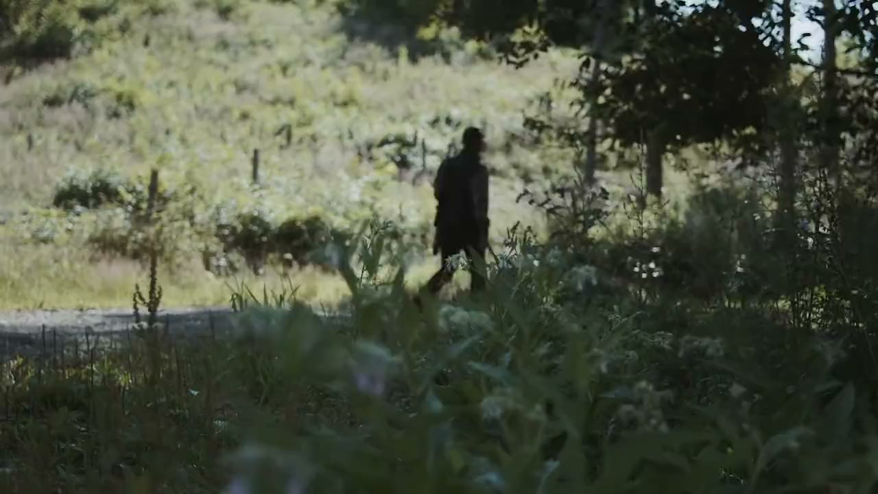 Cacciatore con cane da caccia su un sentiero nel bosco alla luce del mattino – video introduttivo dell'app HUNTERRA